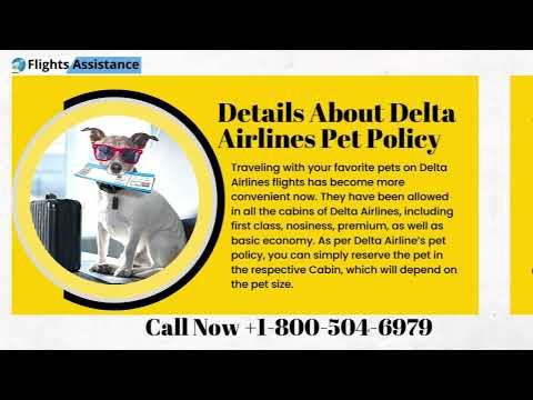 Delta Airlines Pet Travel Policy | Flights Assistance