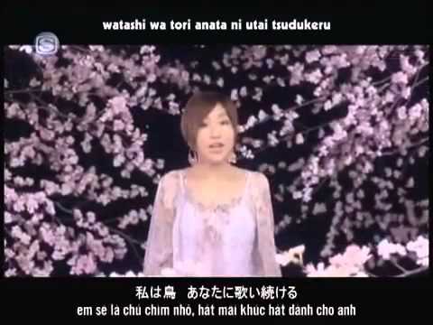 Bài hát Sakura hay cảm động