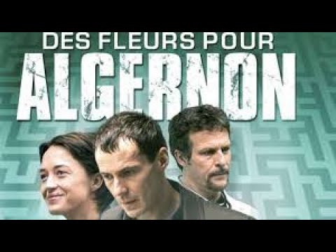 Des Fleurs pour Algernon'