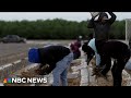 California migrant farm workers on high alert due to rise in deportations