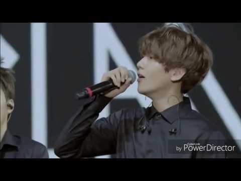 EXO funny moments
