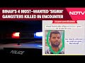Sigma Gang News | 4 Most-Wanted Gangsters From Sigma Gang Killed In Delhi Encounter