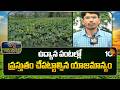 Fruits & Vegetables Rainy Season Care | ఉద్యాన పంటల్లో ప్రస్తుతం చేపట్టాల్సిన యాజమాన్యం | 10TV