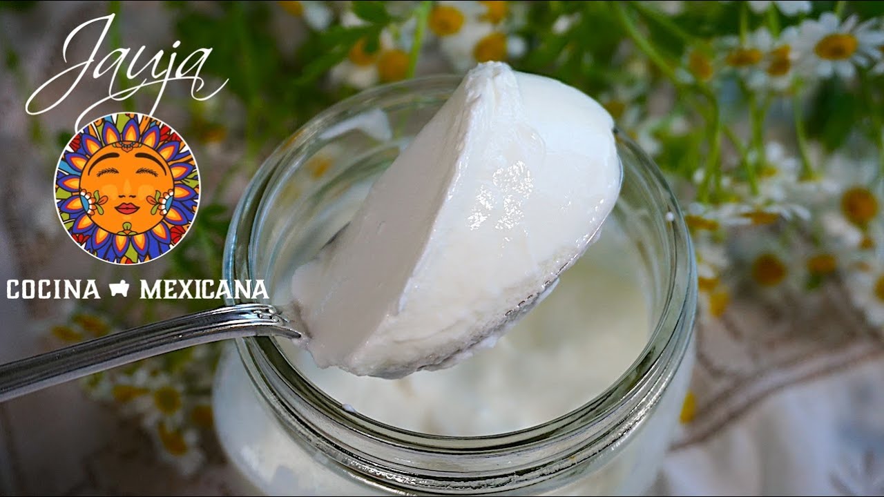 Para que sirve el yogurt natural de bulgaros Para que sirve el yogurt natural de bulgaros