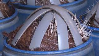 LÀM GIÁ ĐỖ TRUYỀN THỐNG BÁN CHẠY TRONG MÙA DỊCH