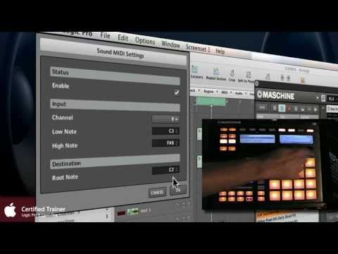 Logic Pro & Maschine Workflow