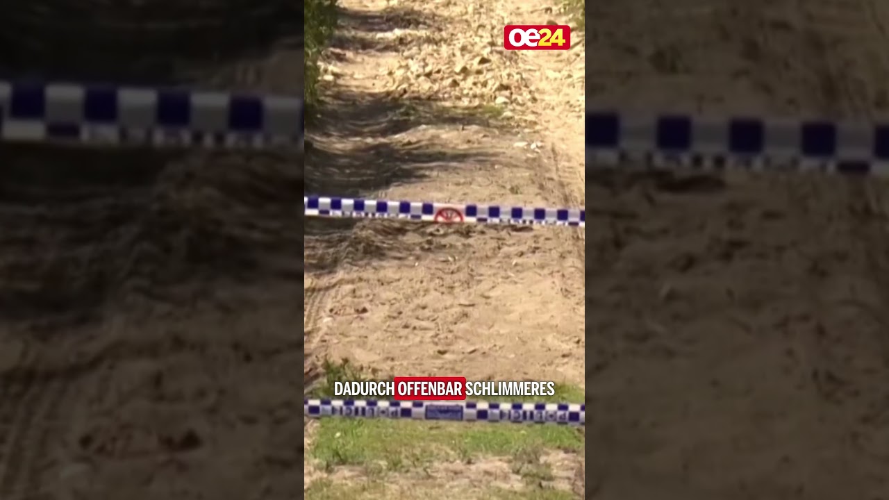 Haiattacke am Traumstrand: Todesopfer kommt aus der Schweiz