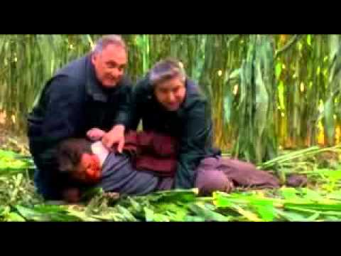 Casino Bat Scene Casino Bat Scene