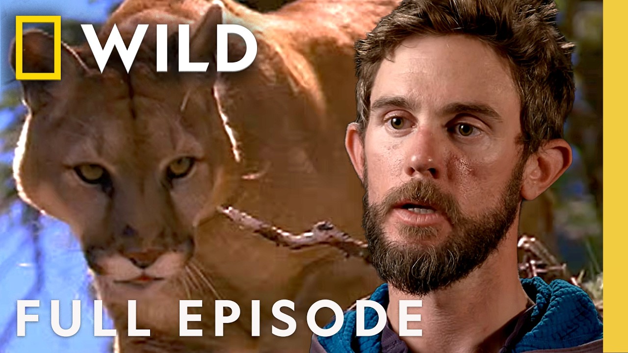 Watch Out! (Full Episode) | Hunter vs. Hunted | Nat Geo Animals