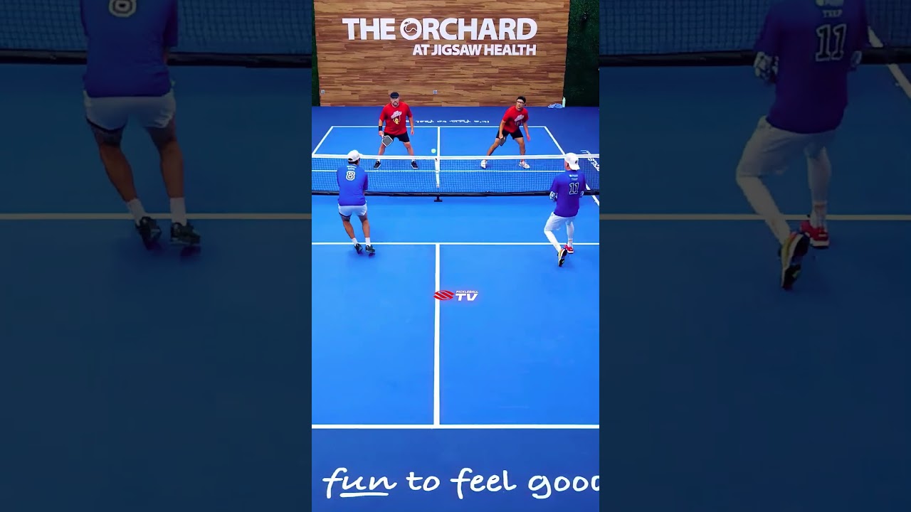 A little bit of sorcery 🪄 #pickleball #pickleballislife #pickleballhighlights