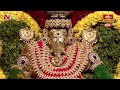 NTV Chairman Sri Narendra Choudary Guru Vandanam To Brahmashri  Kakunuri Suryanarayana Murthy  - 00:48 min - News - Video