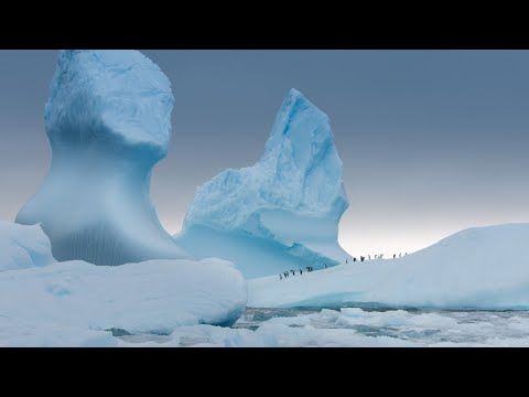 Antarctica'
