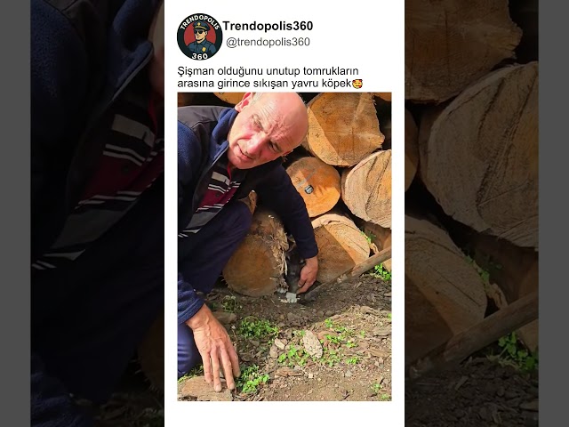 Yavru Köpeği Nazikçe Kurtarmak❤️