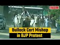 Viral video: Bullock cart collapses during protest against fuel prices hike