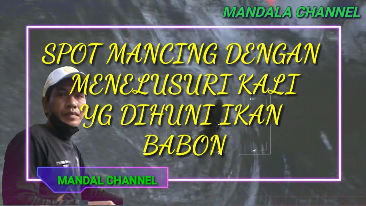 MANCING DI KALI KECIL TARGET WADER ATAU LELE BABON MANCING MANIA MANTAP..👍