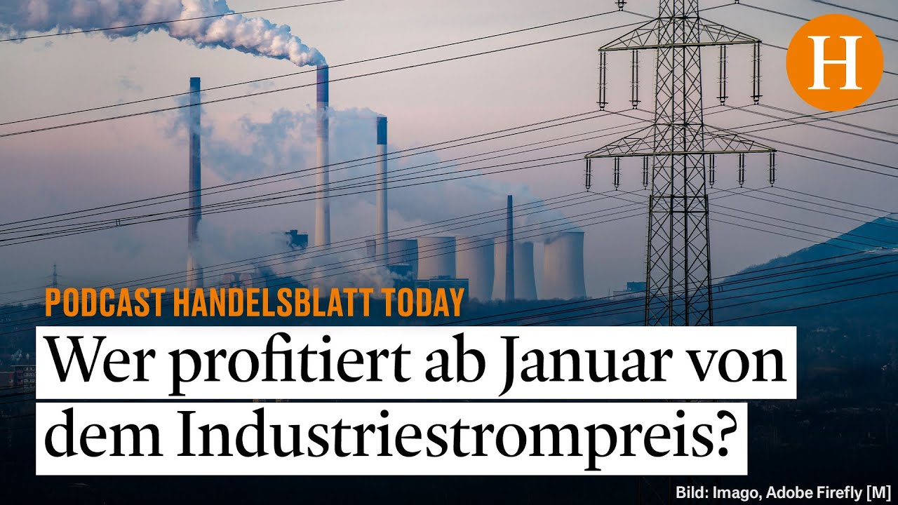 Exklusives Papier: So könnte der Industriestrompreis ab Januar aussehen