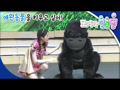모여라 딩동댕 - 애완동물을 키우고 싶어! / 구두장이와 꼬마 요정들_#001