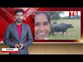 CM Jagan | Barrelakka Better Then Package Star Pawan Kalyan | Andhra Pradesh Politics | Apts24x7  - 02:36:05 min - News - Video