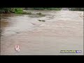 Siddipet Main Road Seeing Like As Pond Due To Yellamma Vagu Overflowing | V6 News  - 03:04 min - News - Video