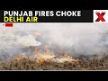 Delhi Pollution LIVE: Punjab Farmers Burn Crop Residue as Delhi Pollution Reaches Hazardous Levels