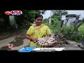 Wild Long Mushrooms from Komaram Bheem Forest At Rs 400kg  Natural Food Alert | V6 Teenmaar  - 01:53 min - News - Video