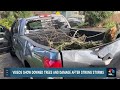 Videos show downed trees and damage after strong California storms  - 01:10 min - News - Video