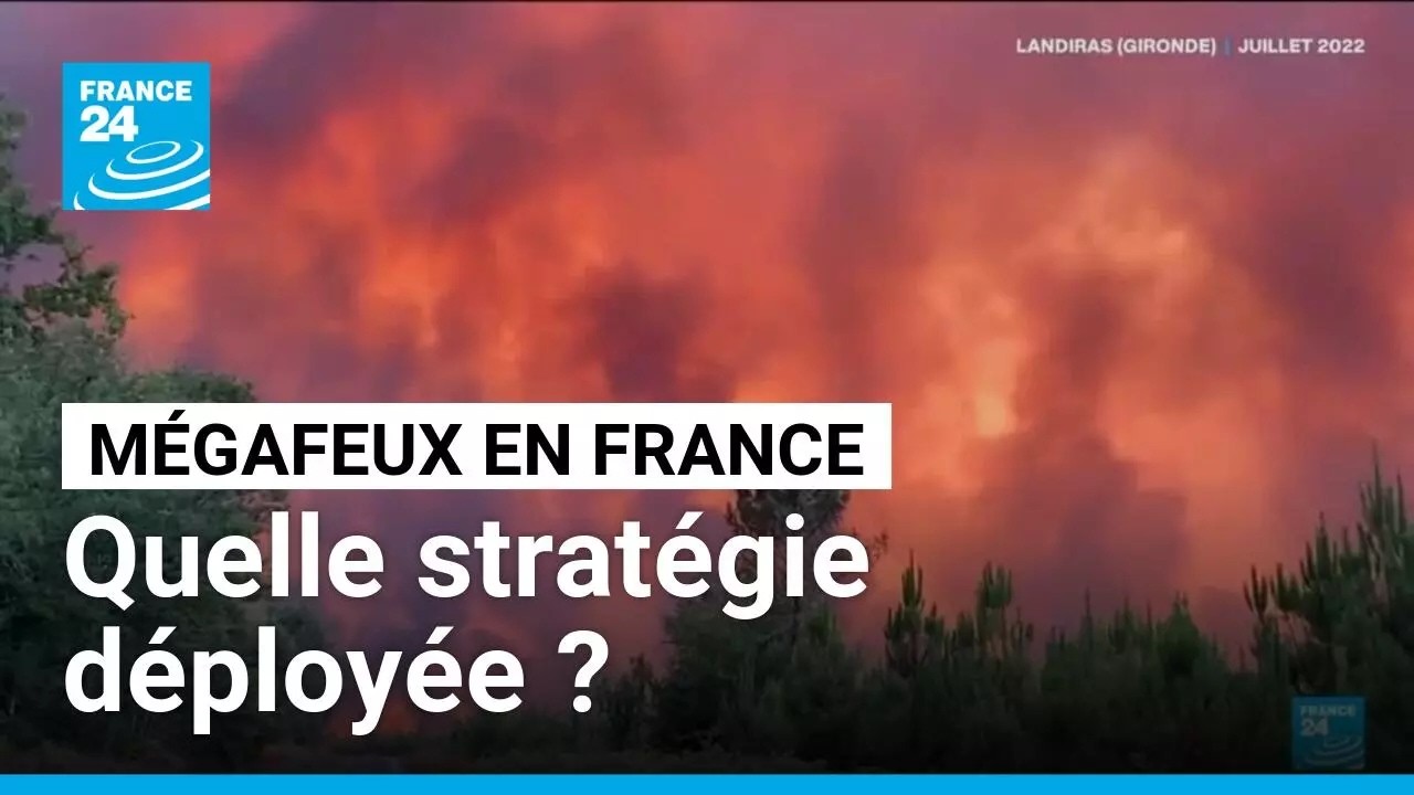 Mégafeux en France : quelle stratégie pour éteindre le feu ? • FRANCE 24