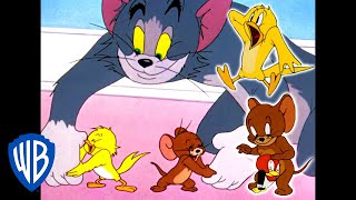 Tom a Jerry - Útok ptáků