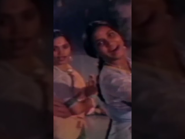 Aa Ha Ayee Milan Ki Bela | Ayee Milan Ki Bela | #GoldminesGaaneSuneAnsune #SairaBanu #RajendraKumar