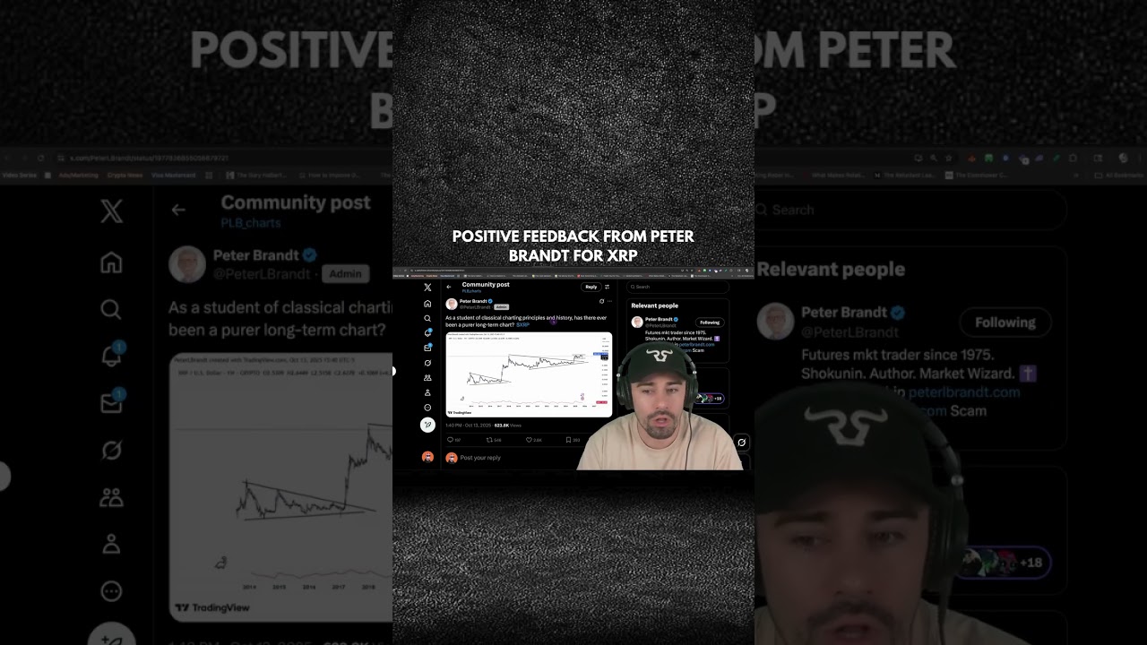 POSITIVE FEEDBACK FROM PETER BRANDT FOR XRP?