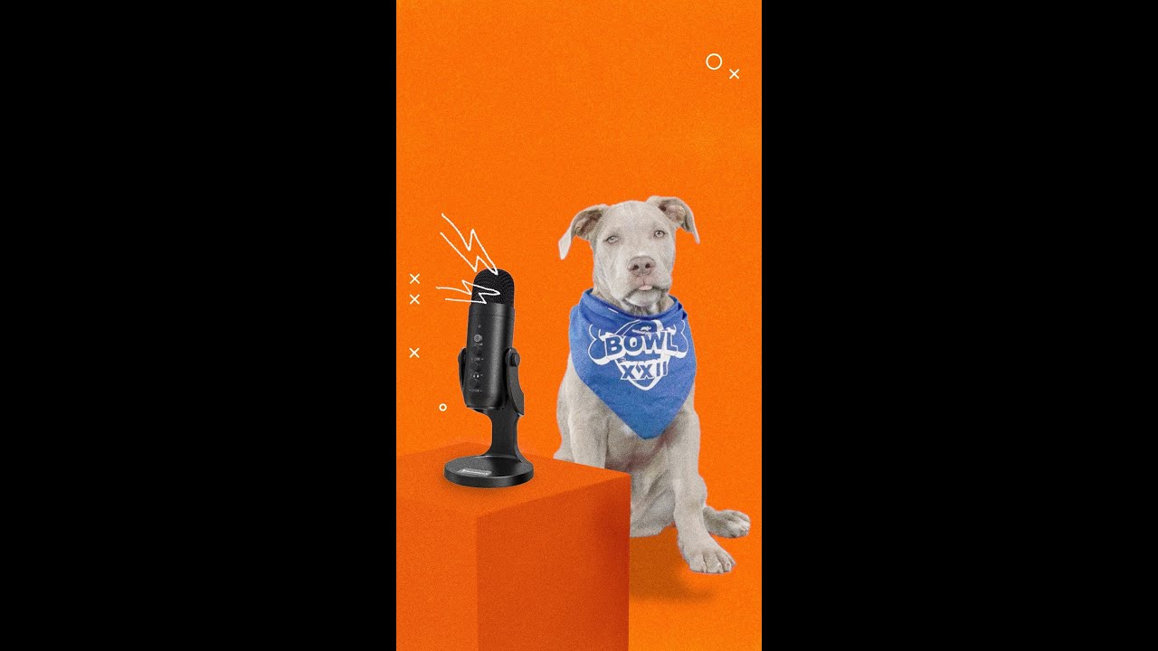 Puppy Paw'dcast Episode 1 | Puppy Bowl