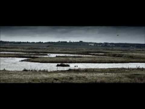 The Hide'