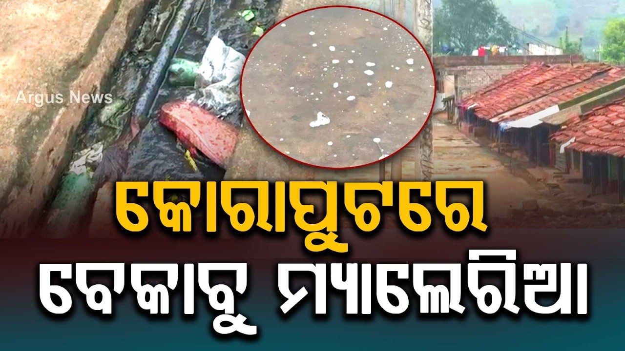 Malaria Outbreak in Koraput: Over 500 Infected in Bandhugaon Within a Month | Argus News