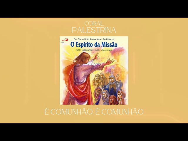 Preview do vídeo