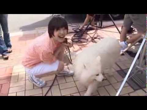 Minho & Sulli (Minsul scenes) / with Sangchu TTBY Making of DVD