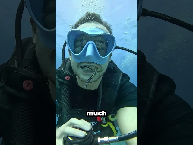 This fish cleans sharks' teeth!