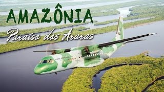 Assista neste vídeo com imagens vibrantes uma homenagem do 1º/9º Grupo de Aviação (Esquadrão Arara), sediado em Manaus (AM), à floresta e ao povo que nos inspiram ir cada vez mais longe. Uma produção do Esquadrão Arara com apoio do CECOMSAER.