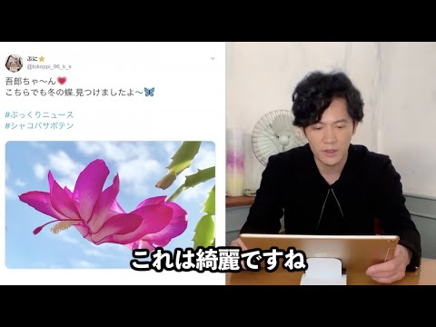 【2020年1月】月間ぷっくり大賞〜Pukkuri Of The Month〜