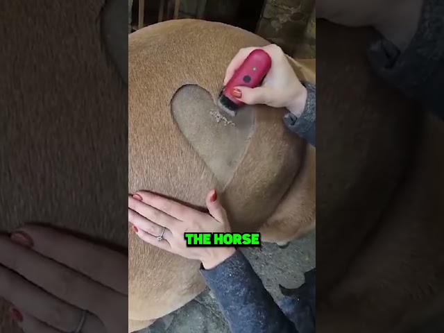 Told She Had 2 Months… Then Did This!!  😱😱