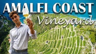 VINEYARD, WINERY FOR SALE IN ITALY, AMALFI COAST| Romolini Christies | AZIENDA AGRICOLA AMALFI