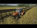 Massey Ferguson 6000 Series Dyna 4 v1.0.0.0