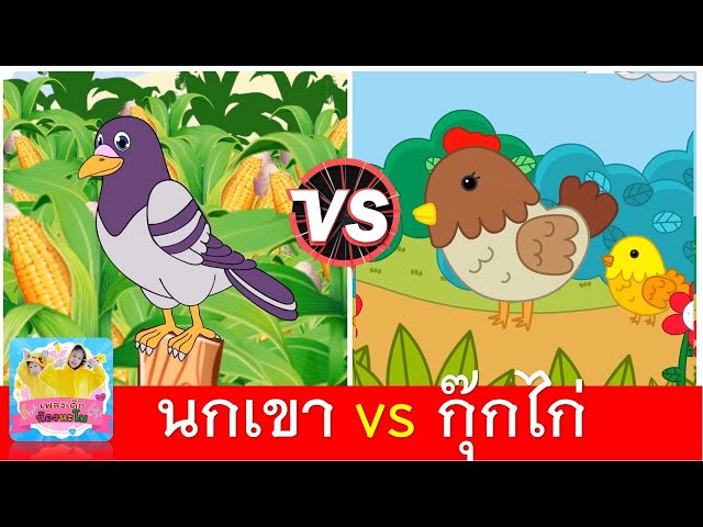 นกเขา vs กุ๊กไก่ | เพลงเด็ก | นกเขาบินข้ามเขา | ไก่กุ๊กกุ๊กไก่