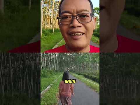 Nanti kamu mencariku