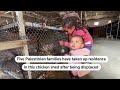 Displaced Gazans resort to living in chicken sheds | REUTERS  - 01:24 min - News - Video