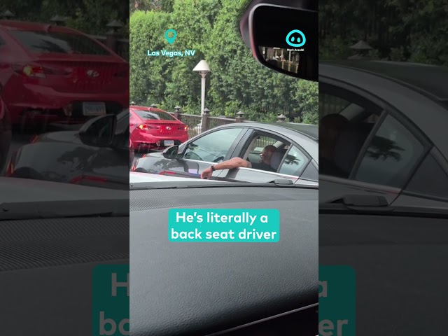 Bro Driving From the Backseat || ViralHog Shorts