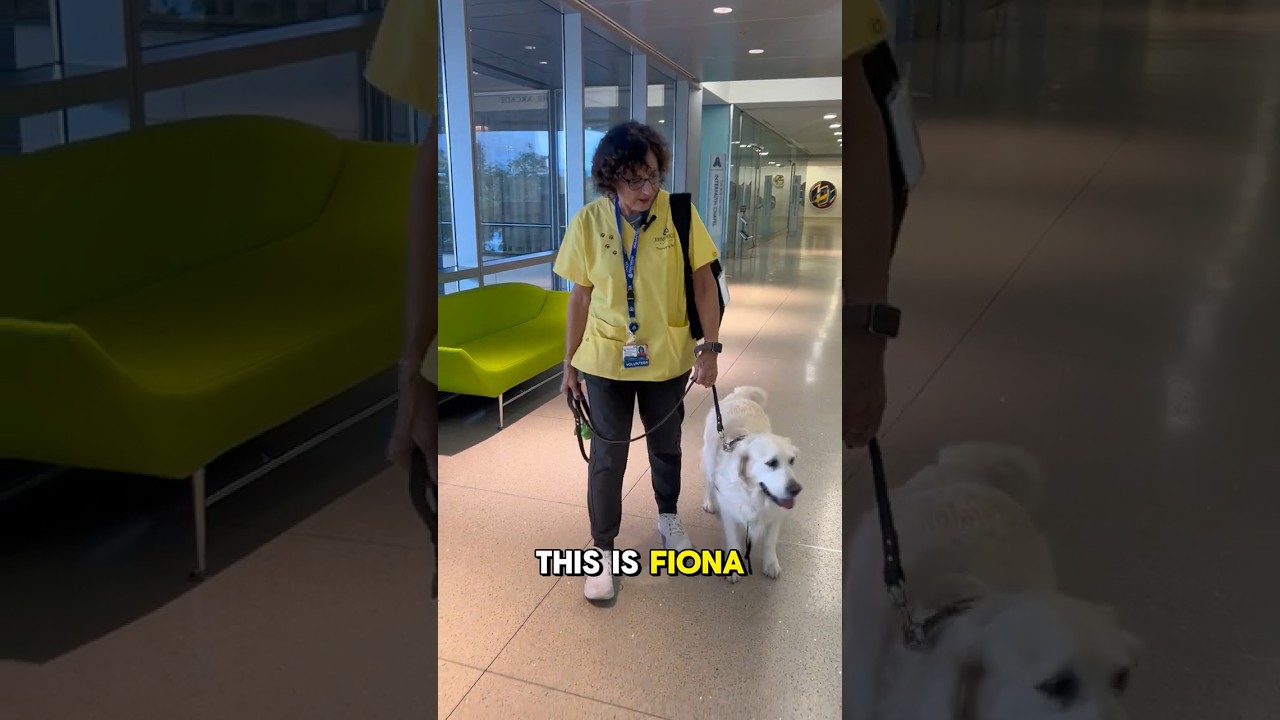 Pet Volunteers: Meet Fiona