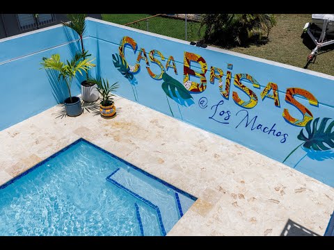 Video realizado por la propiedad