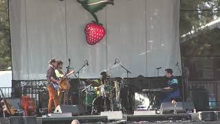 Sam Grisman Project - Complete Set at Strawberry Music Festival 5-27-23