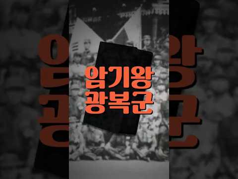 암기력 1티어 군인