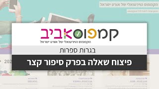 פתרון בגרות בספרות קיץ חורף
